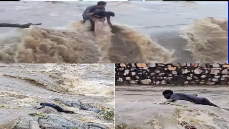 Udaipur Floods: కళ్ల ముందే కొట్టుకుపోయిన మిత్రుడు.. వారం రోజులైన దొరకని జాడ..!