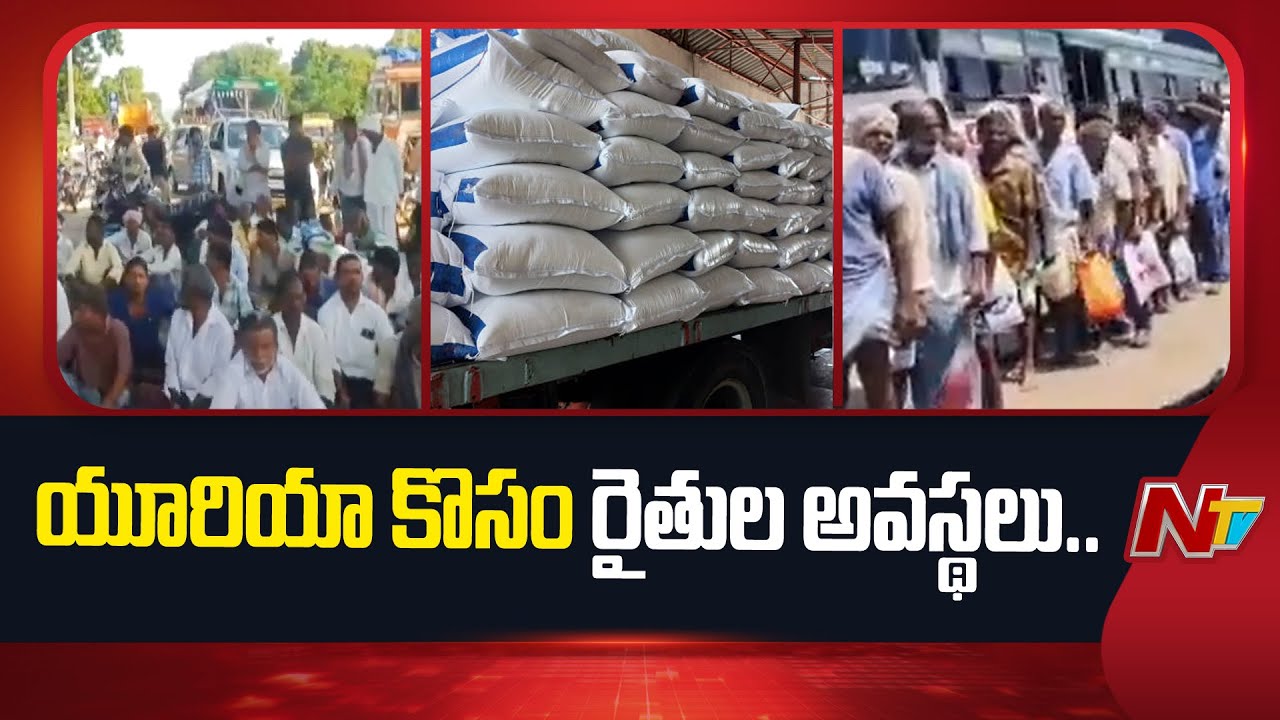 Srikakulam : శ్రీకాకుళంలో యూరియా కోసం రైతుల అవస్థలు