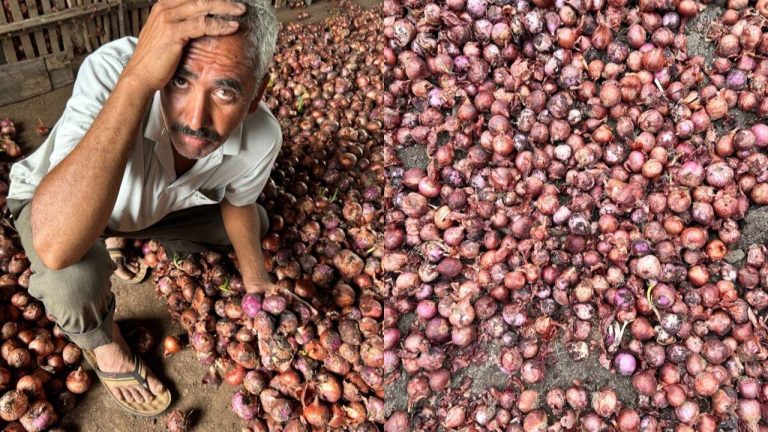 Maharashtra: దారుణం.. రూ.66 వేల పెట్టుబడితో 7.5 క్వింటాళ్ల ఉల్లి సాగు.. రాబడి రూ. 664..!