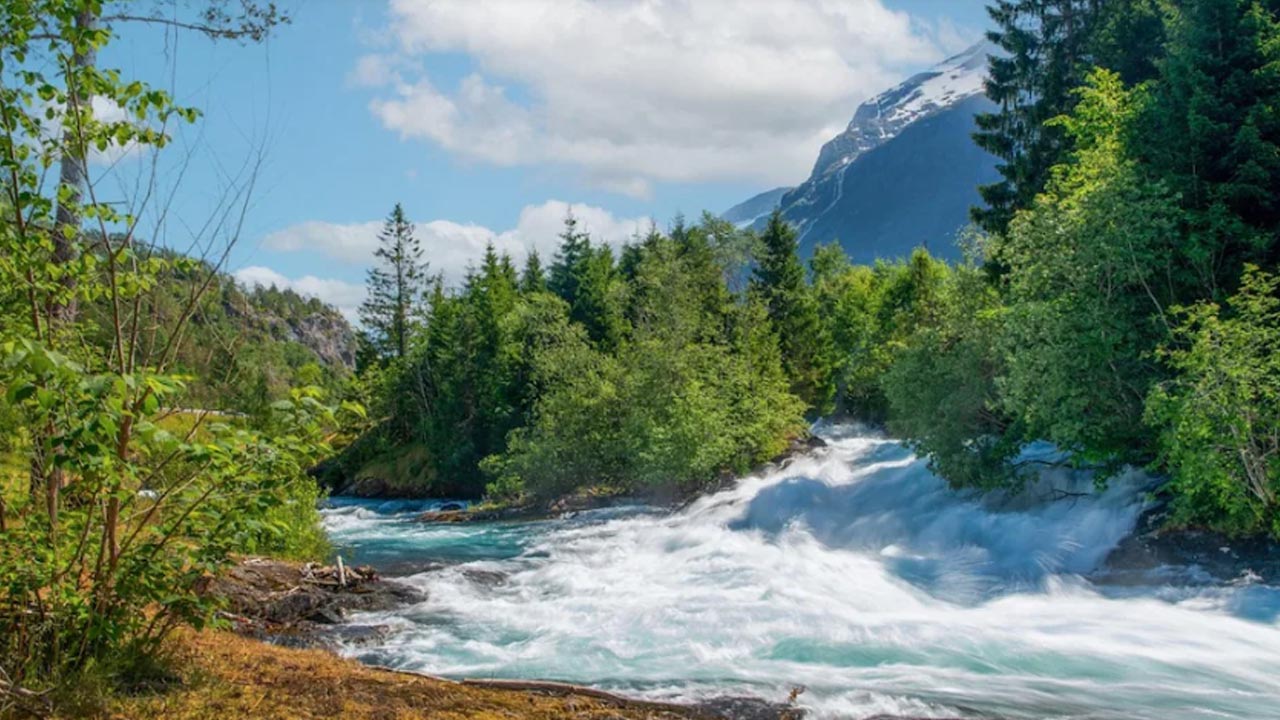 Afghanistan: భారత్ బాటలో ఆఫ్ఘన్.. తాలిబన్ల దెబ్బతో పాకిస్థాన్‌కు నీటి గండం ఖాయం!