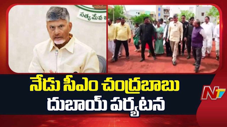 CM Chandrababu: నేడు దుబాయ్ పర్యటనకు సీఎం చంద్రబాబు..
