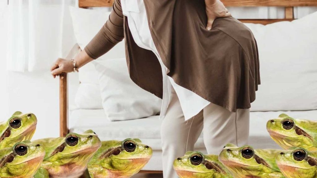 Chinese Grandmother Frogs