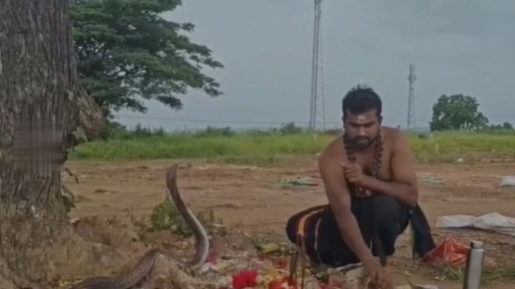 Cobra Karthika Somavaram Eluru