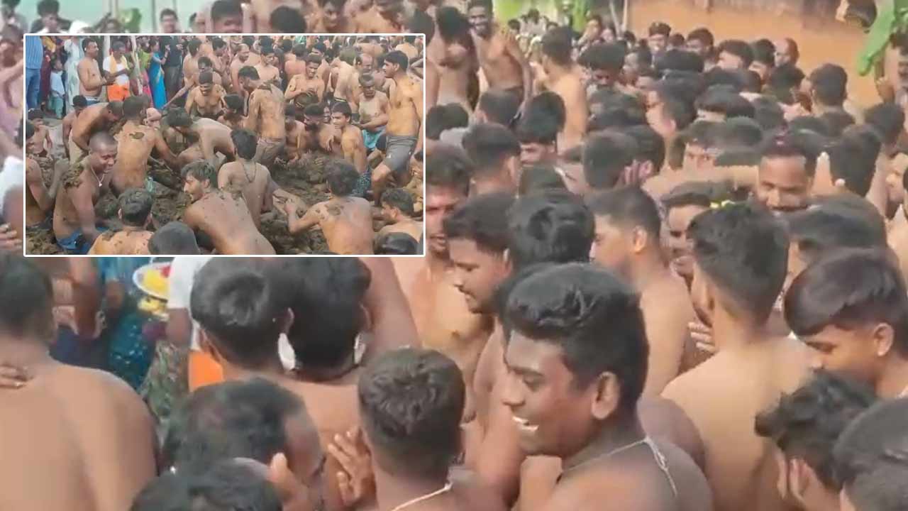 Cow Dung: ఆవు పేడతో కొట్టుకుంటే సరి..! పెళ్లి కాని వారికి కూడా పెళ్లి అవుతుంది..