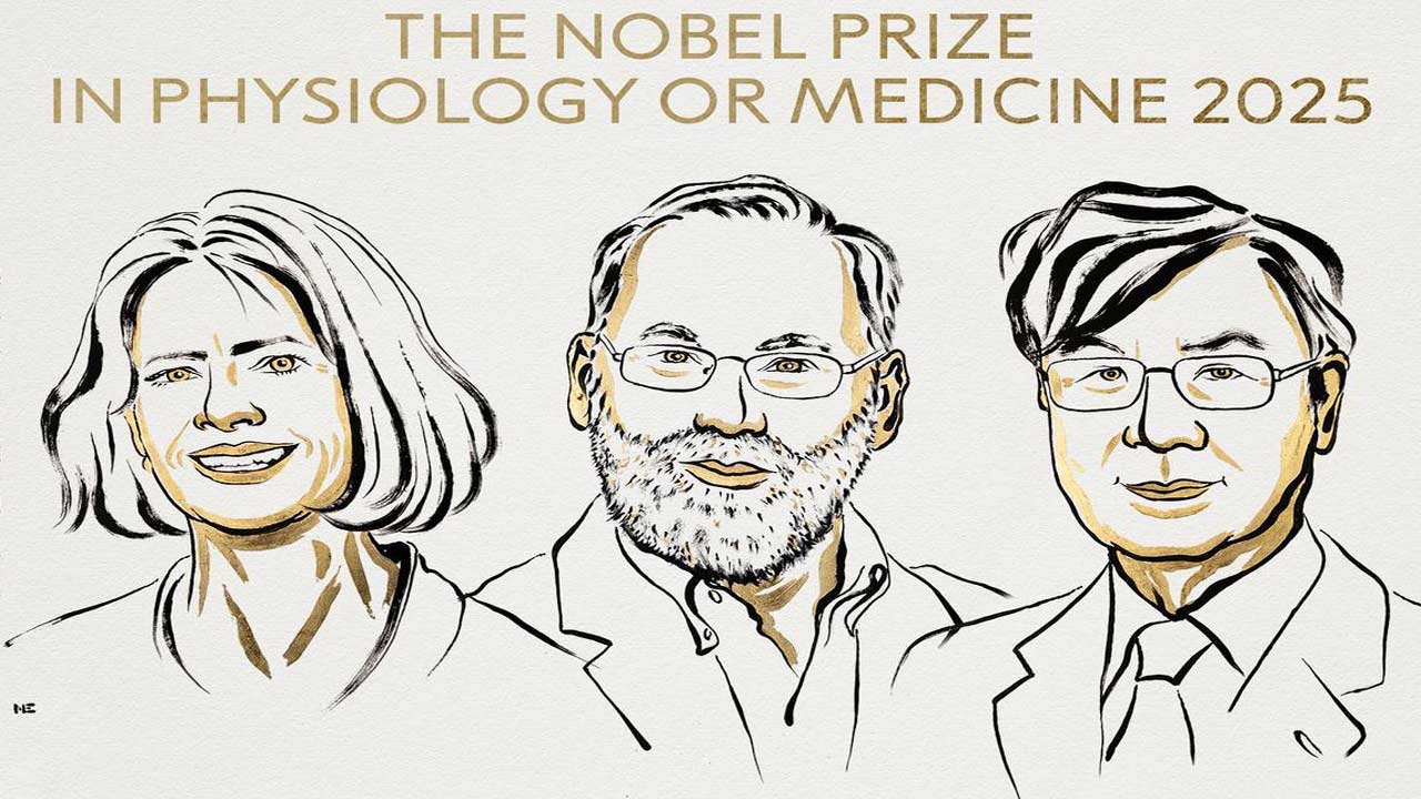 2025 Nobel Prize: వైద్య రంగంలో ముగ్గురికి నోబెల్ బహుమతి..