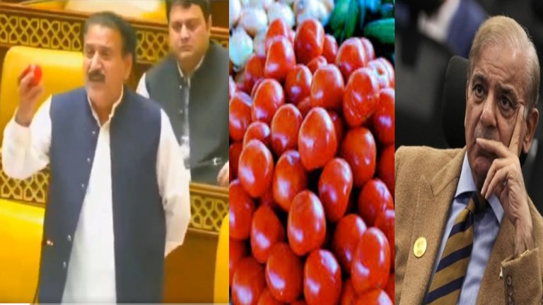 Pakistan: ఒక్క టమాటా రూ.75..! కొనేందుకు లోన్ ఇవ్వాలని పాకిస్థాన్ పార్లమెంట్‌లో ఎంపీ డిమాండ్..!