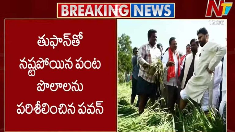 AP Deputy CM Pawan: నష్టపోయిన పంటను పరిశీలించిన డిప్యూటీ సీఎం పవన్..