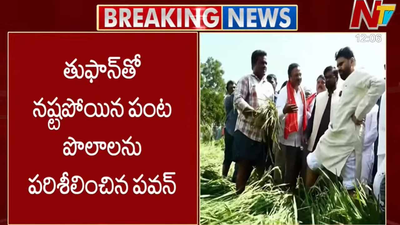 AP Deputy CM Pawan: నష్టపోయిన పంటను పరిశీలించిన డిప్యూటీ సీఎం పవన్..