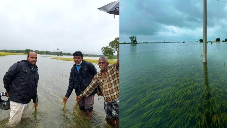 Cyclone Montha: రైతులను‌ నిండా ముంచేసిన మొంథా.. వేల ఎకరాలలో వరి పంట నాశనం!