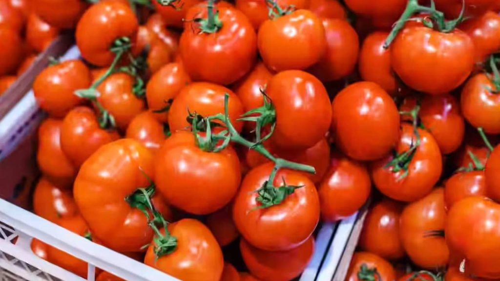 Pakistan Tomato Prices