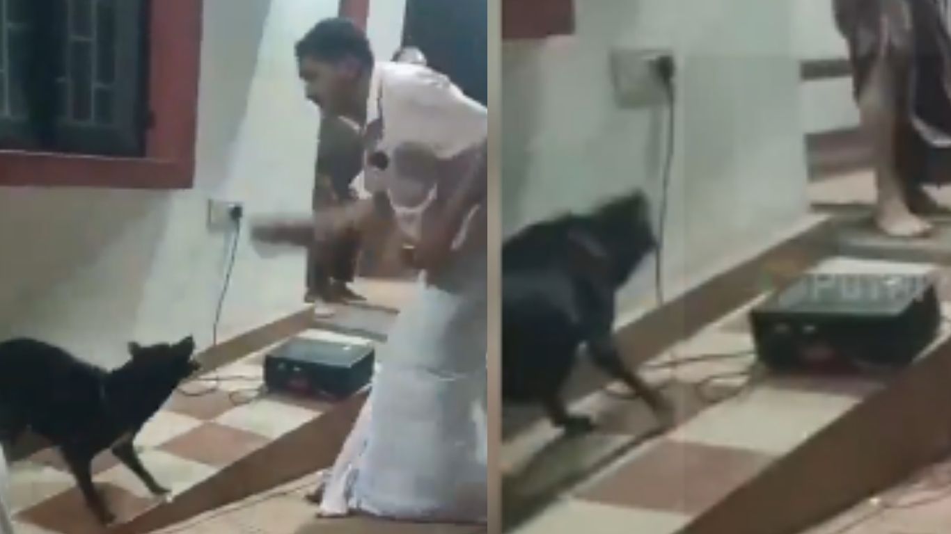 Dog Attacks: కుక్కలపై నాటకం.. ఎగబడి కరిచిన కుక్క