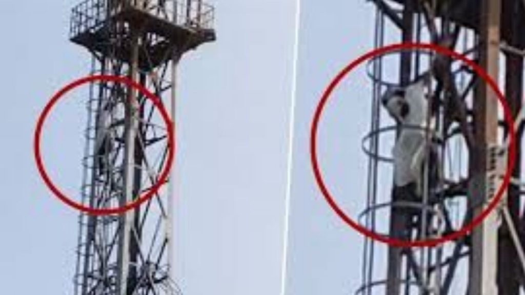 Untitled Design (10)