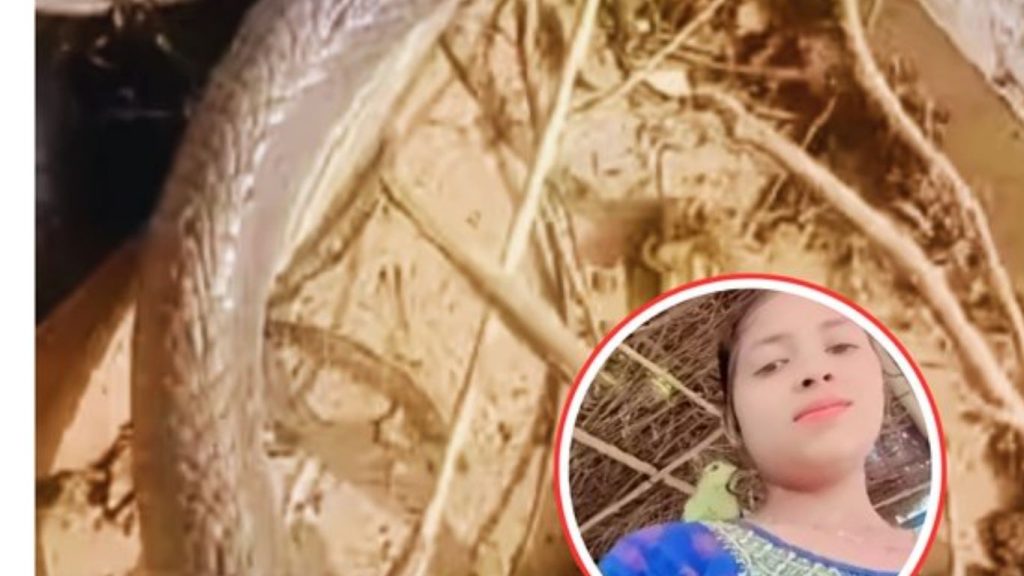 Untitled Design (10)