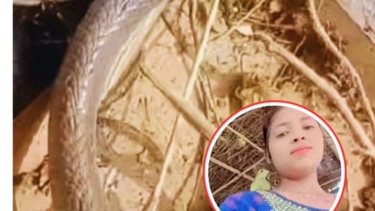 Snake Byte: గడ్డి కోసే యంత్రంలో ఇరుక్కుని ముక్కలైన పాము.. తల భాగంతో యువతిని..