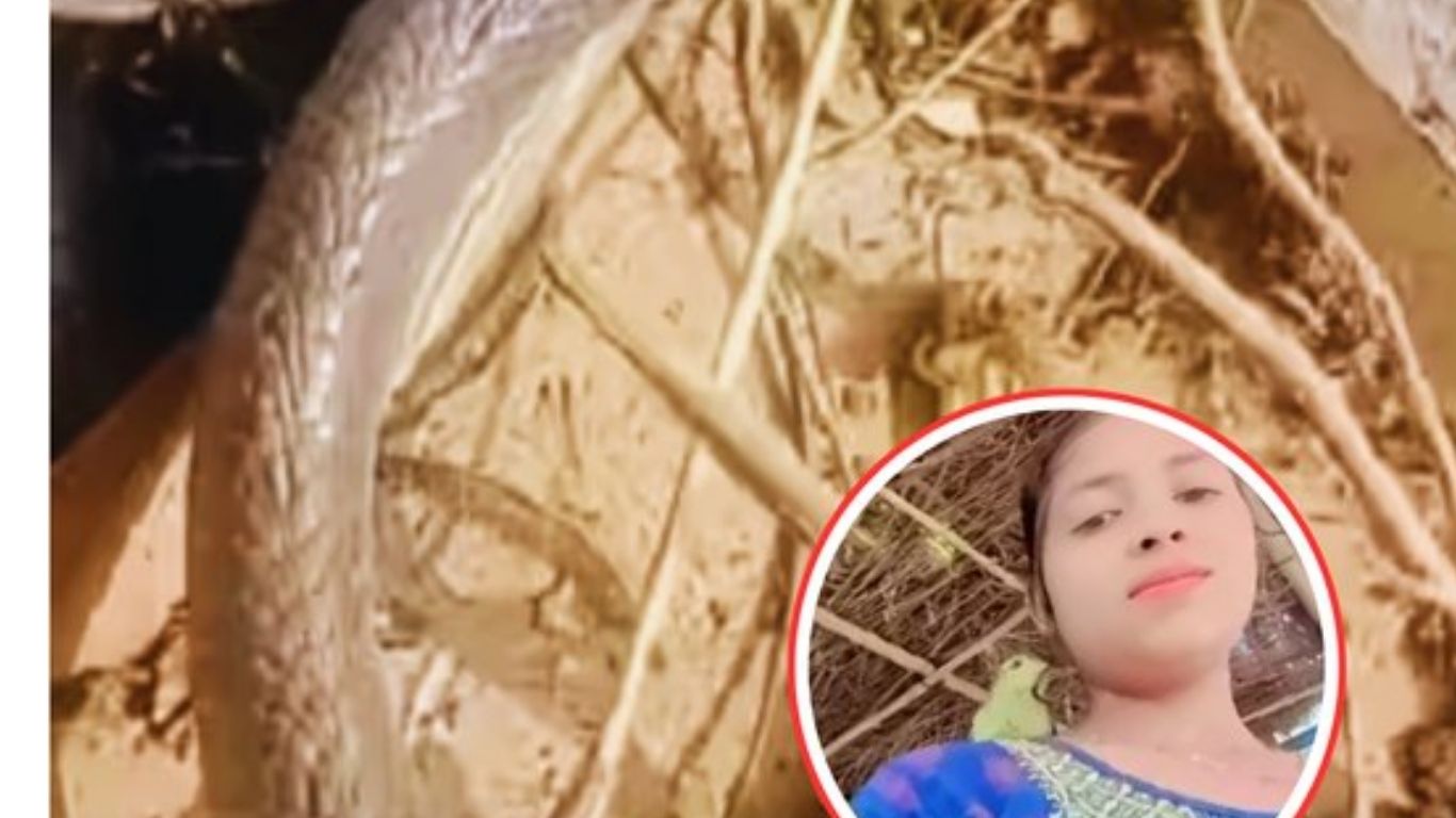 Snake Byte: గడ్డి కోసే యంత్రంలో ఇరుక్కుని ముక్కలైన పాము.. తల భాగంతో యువతిని..