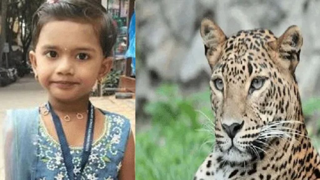 Untitled Design (12)