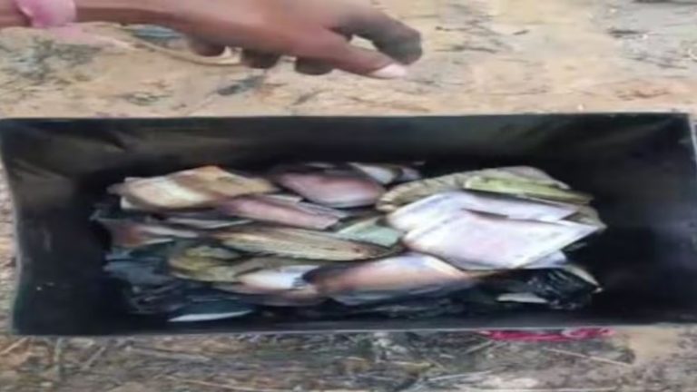 Alwar Fire: గుడిసెకు అంటుకున్న మంటలు.. బూడిదైన రూ.10 లక్షల నగదు