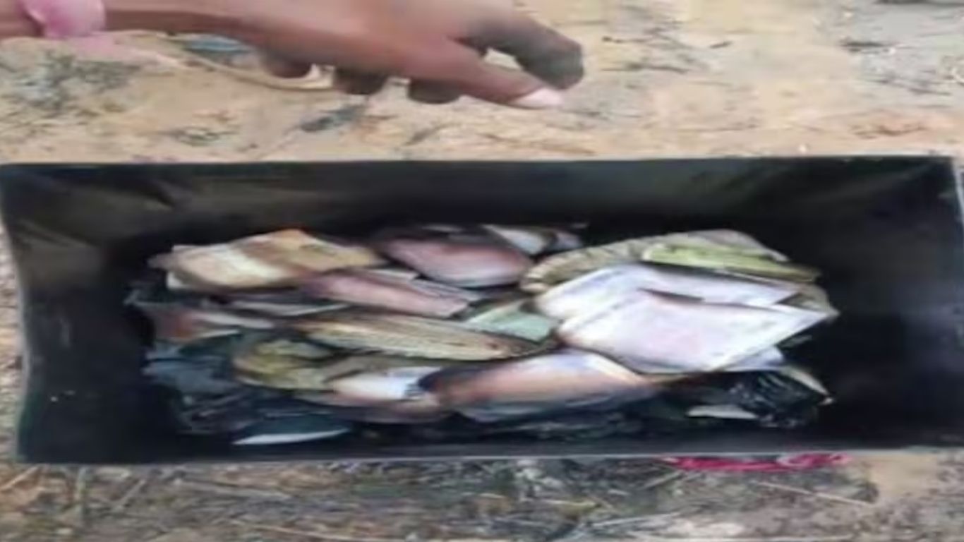 Alwar Fire: గుడిసెకు అంటుకున్న మంటలు.. బూడిదైన రూ.10 లక్షల నగదు