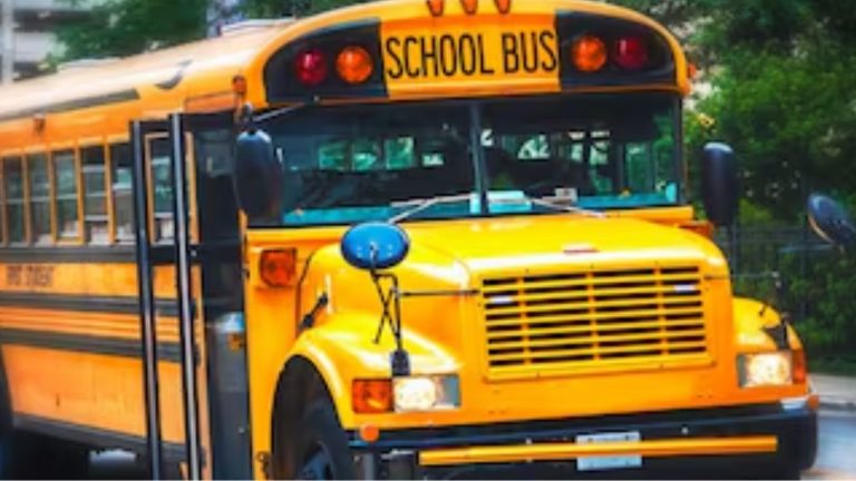 History: స్కూల్ బస్సులు పసుపు రంగులోనే ఎందుకుంటాయో తెలుసా..