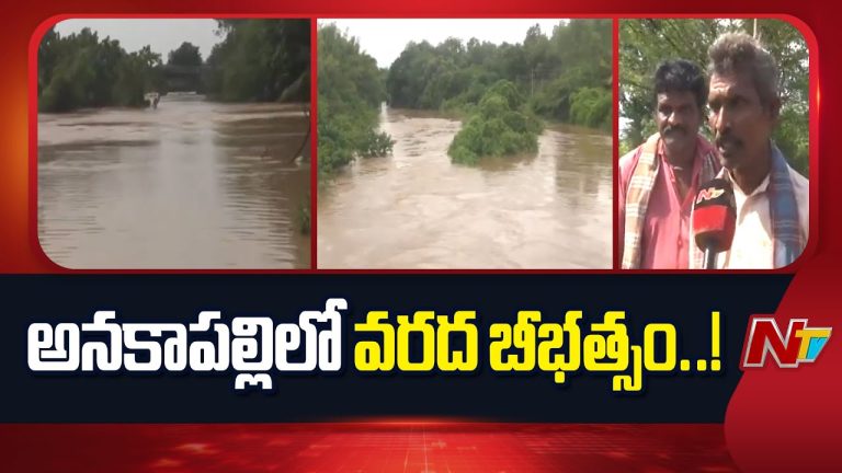 Anakapalle: అనకాపల్లెలో శారదా నదికి గండి..నీట మునిగిన వందల ఎకరాల వరి పంట, ఆందోళనలో రైతులు