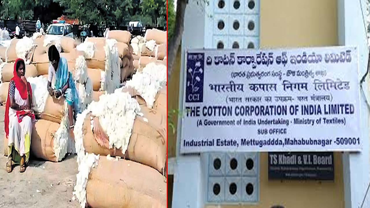 Cotton Price: రైతులకు శుభవార్త.. MSP ధరకే పత్తి కొనుగోలు