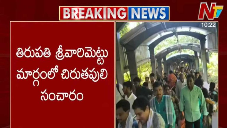 Tirumala: తిరుమలలో చిరుత సంచారం.. భయంతో కేకలు వేసిన భక్తులు..