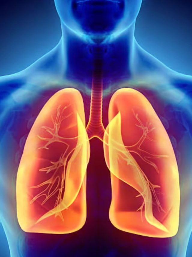 ఆరోగ్యకరమైన ఊపిరితిత్తుల కోసం ఈ ఆహార పదార్దాలు తీసుకోండి.