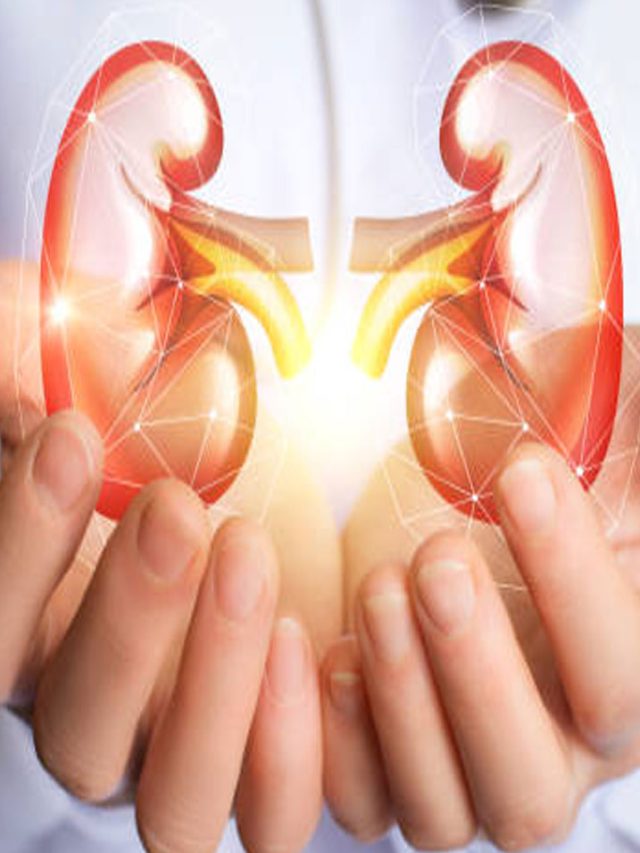 కిడ్నీ ఆరోగ్యం కోసం తప్పక తీసుసుకోవాల్సిన ఆహారాలు ఇవే...