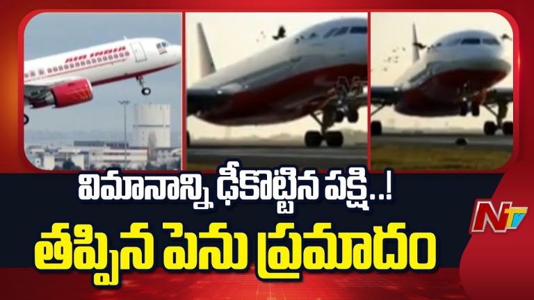 Air India : ఎయిర్ ఇండియా విమానాన్ని ఢీకొట్టిన పక్షి., క్షణాల్లో తప్పిన పెను ప్రమాదం
