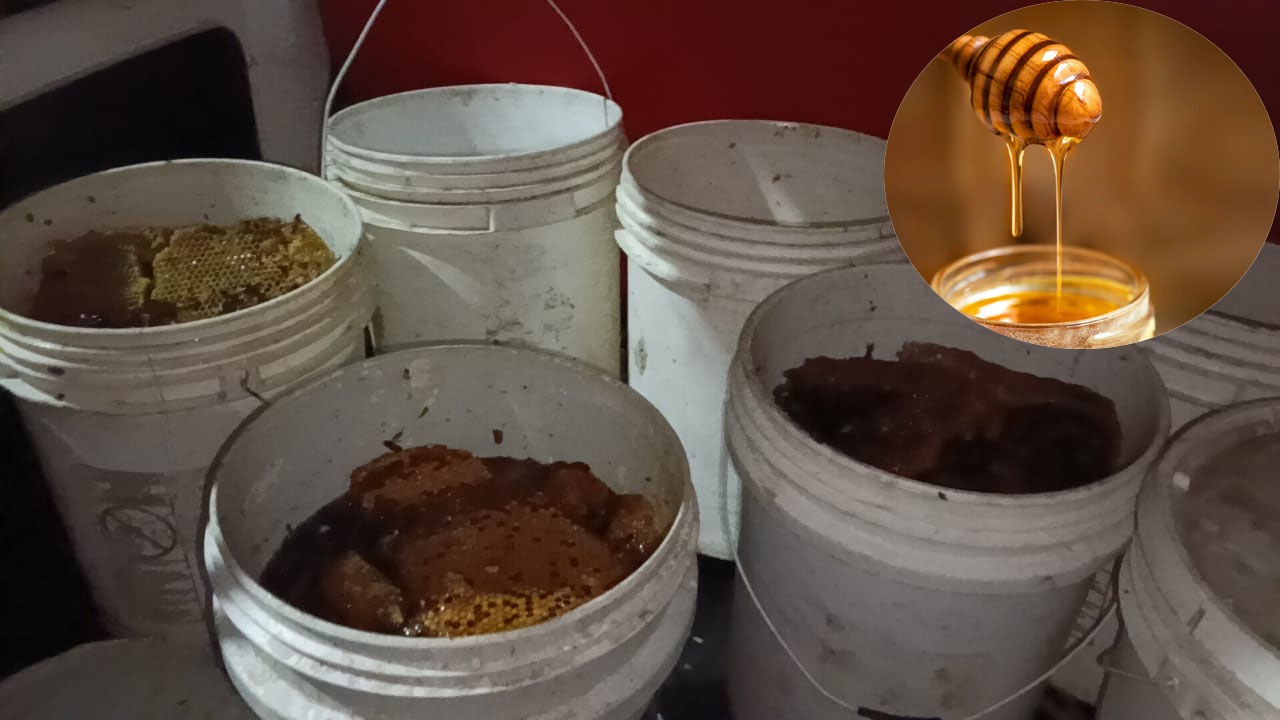 Fake Honey: అలర్ట్.. హైదరాబాద్‌లో నకిలీ తేనె.. కొనుగోలు చేసే ముందు ఇలా పరీక్షించండి..!