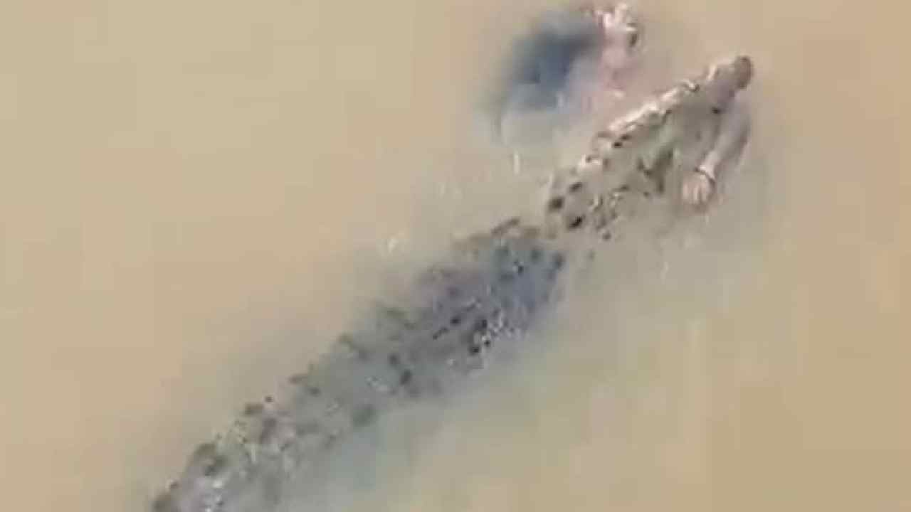 Viral Video: మహిళను నదిలోకి ఈడ్చుకెళ్లిన మొసలి.. ఒడిశా వీడియో వైరల్..