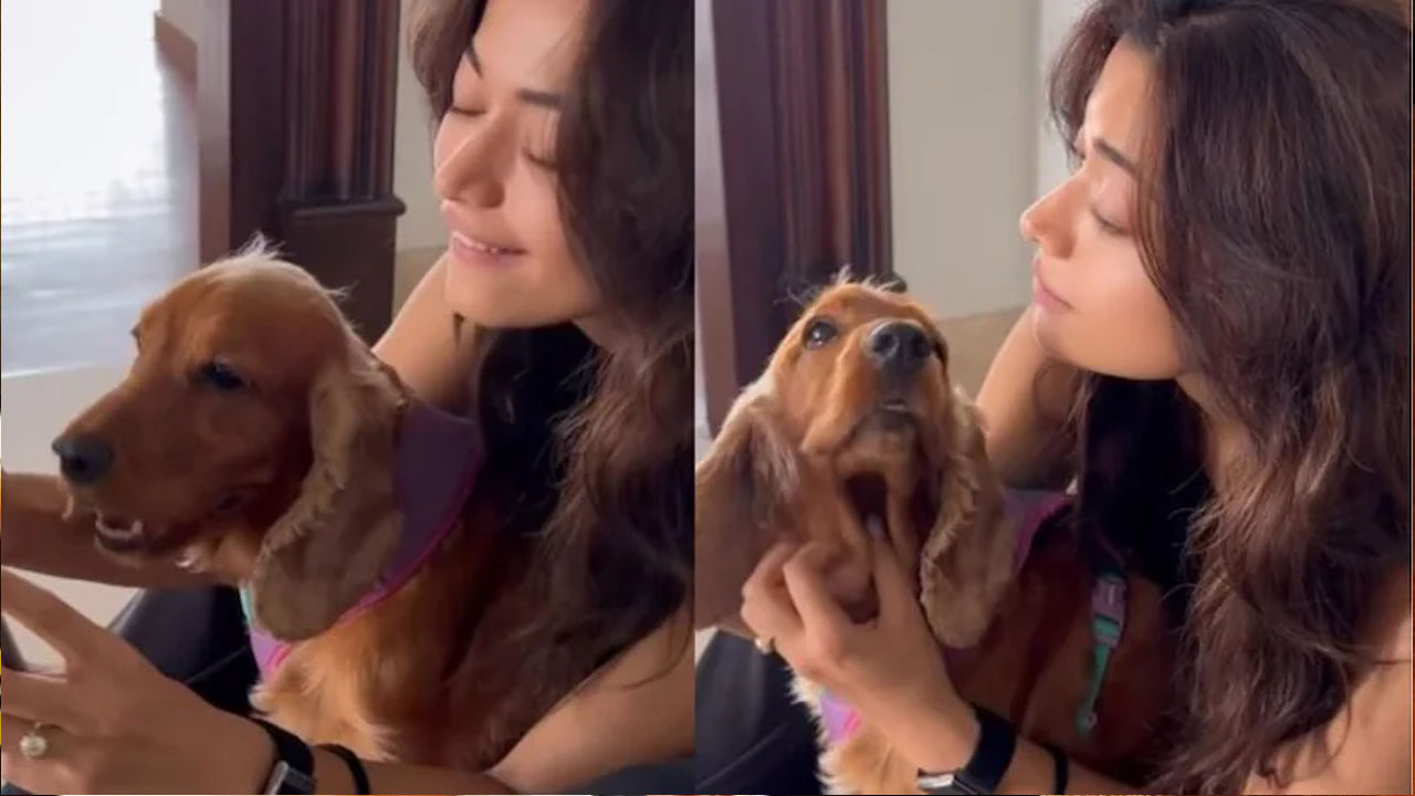 Rashmika Mandanna: మళ్లీ దొరికి పోయిందిగా.. నిశ్చితార్థం తర్వాత రష్మిక మందన్న గ్లింప్స్‌ వైరల్..