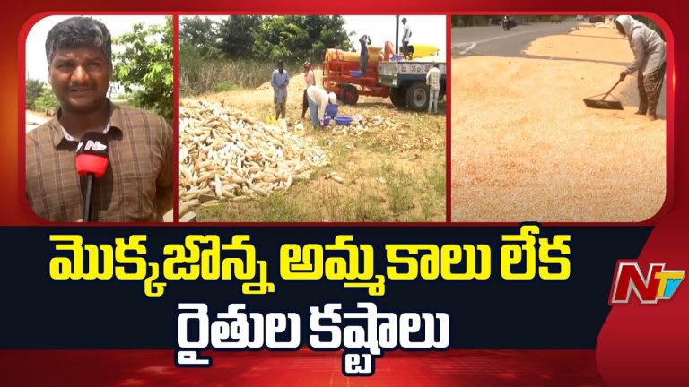 Telangana : తెలంగాణలో మొక్కజొన్నకు కొనుగోలు లేక రైతుల ఆందోళన..