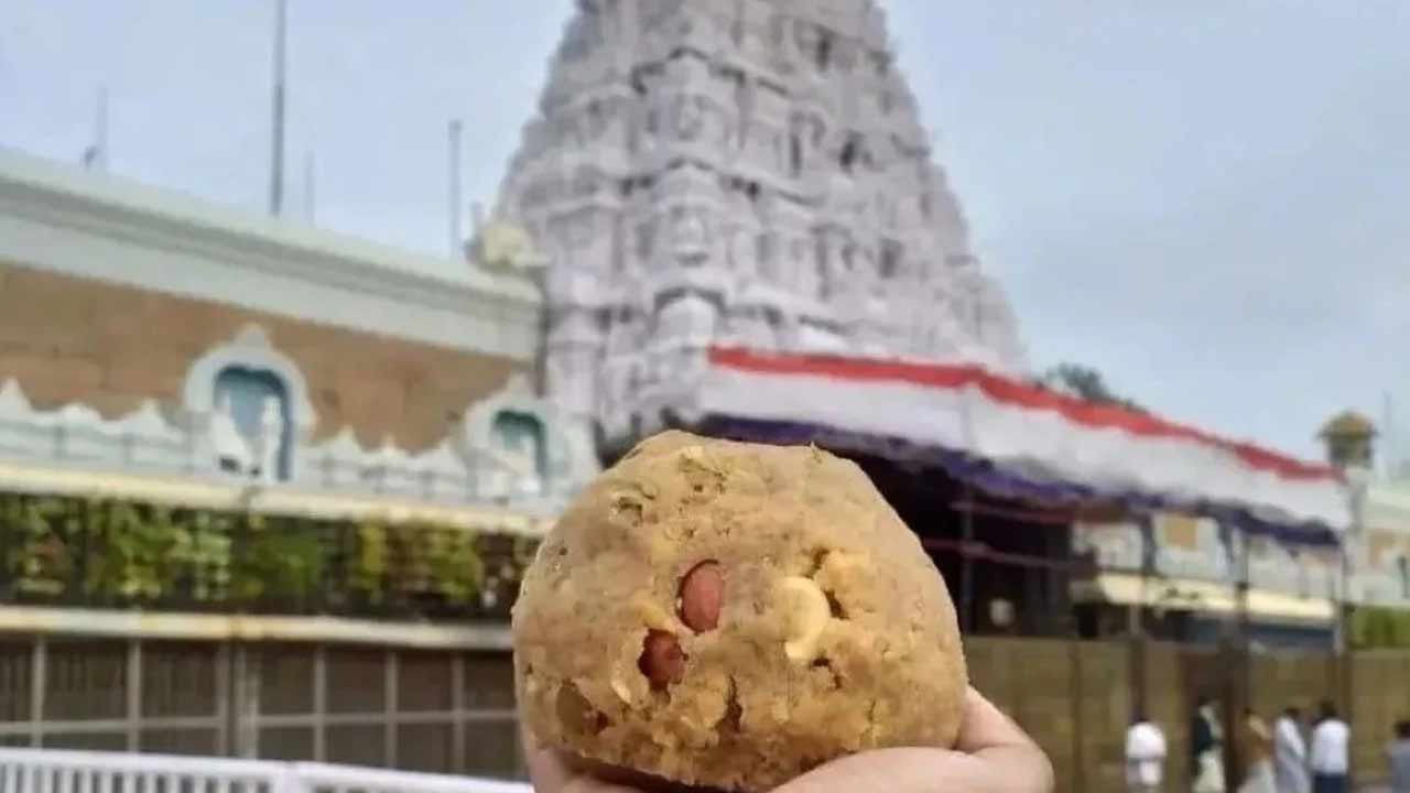 Tirupati Laddu Row: తిరుమల లడ్డు నెయ్యి కేసులో దర్యాప్తు వేగవంతం..