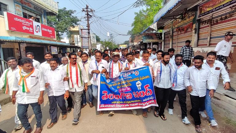 Tummala Nageswara Rao: బీసీలను నట్టేటా ముంచిన పార్టీ బీజేపీ.. తుమ్మల కీలక వ్యాఖ్యలు..