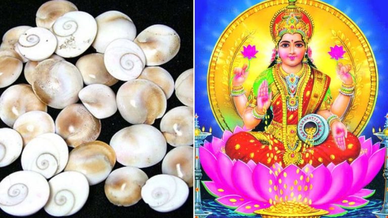 Dhanteras 2025: ధన్ తేరాస్ స్పెషల్: ఈ 10 వస్తువులు కొంటే అదృష్టం మీవెంటే!
