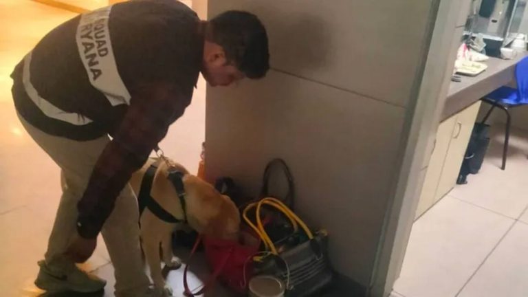 Bomb Threat: ఢిల్లీ స్కూళ్లు, కోర్టులకు మరోసారి బాంబ్ బెదిరింపులు.. డాగ్‌స్క్వాడ్స్‌తో తనిఖీలు