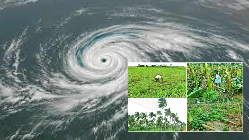 Central Team Visits Andhra