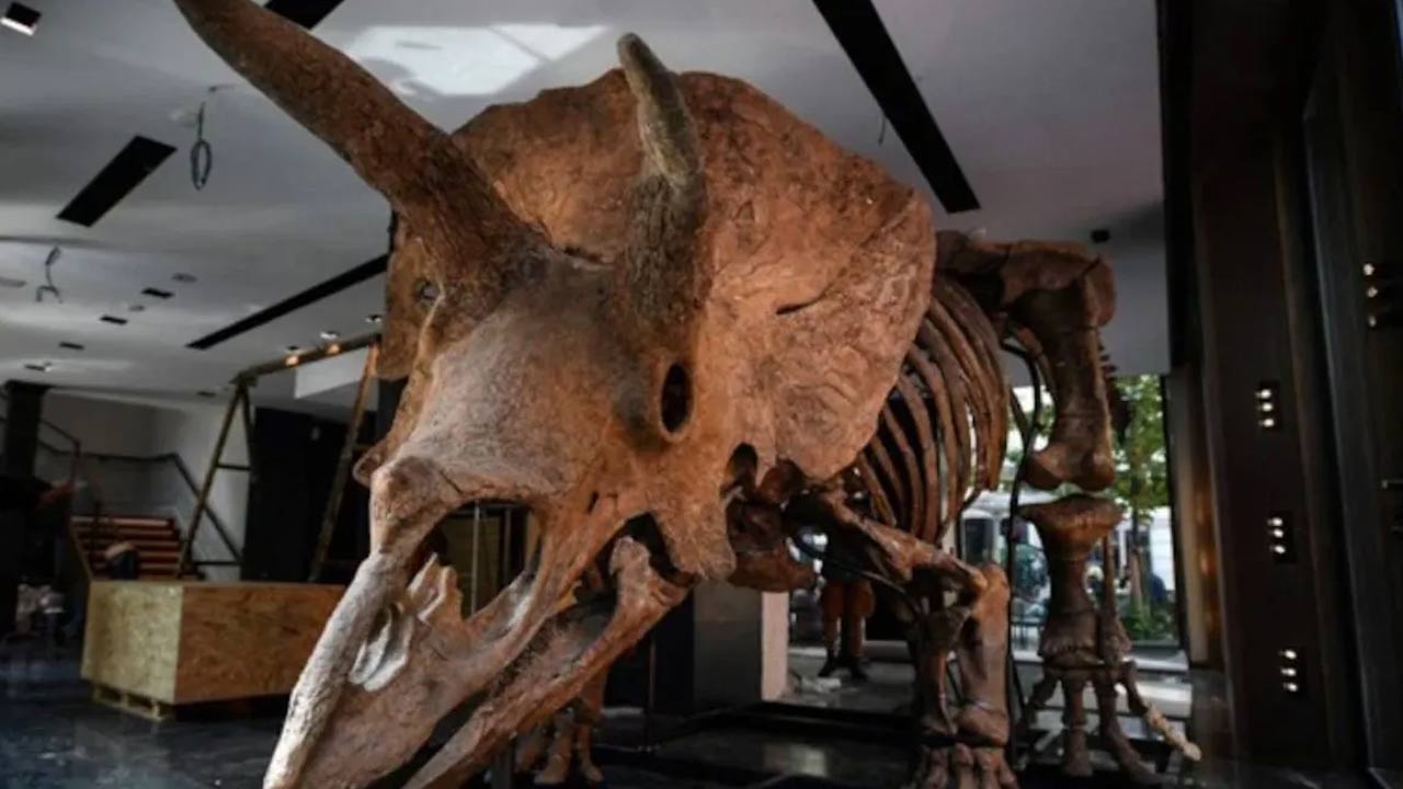 Dinosaur: ఉత్తరప్రదేశ్‌లో 40 మిలియన్ల సంవత్సరాల నాటి డైనోసార్ శిలాజం లభ్యం..