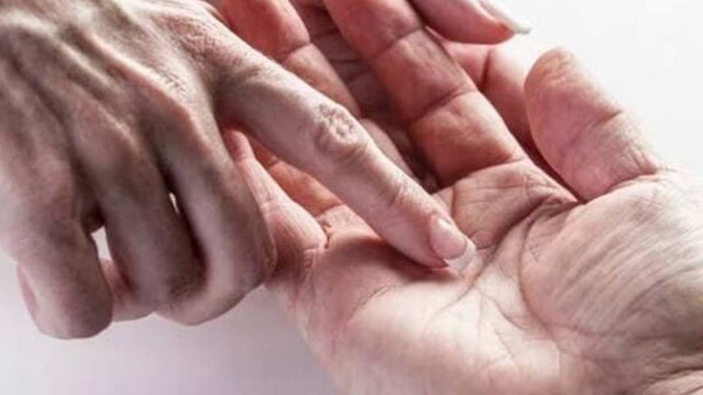 Hastasamudrika Shani Rekha