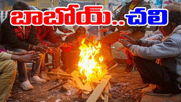 IMD warning: ఐఎండీ వార్నింగ్.. ఈ రాష్ట్రాల్లో చలి తీవ్రంగా ఉంటుందని హెచ్చరిక