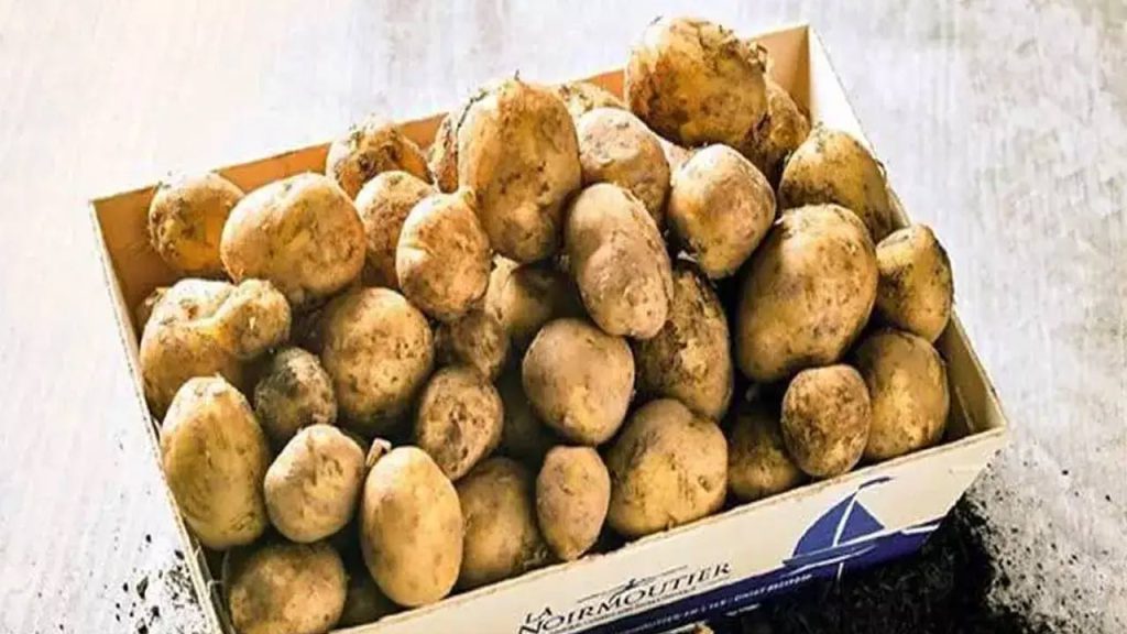 Le Bonnotte Potato Price