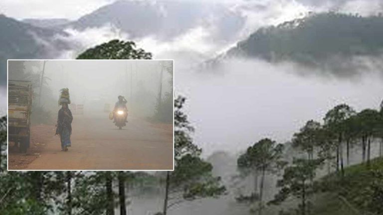 Lowest Temperature: వణికిస్తున్న ‘చలి పులి’.. 5 డిగ్రీలకు పడిపోయిన ఉష్ణోగ్రతలు..