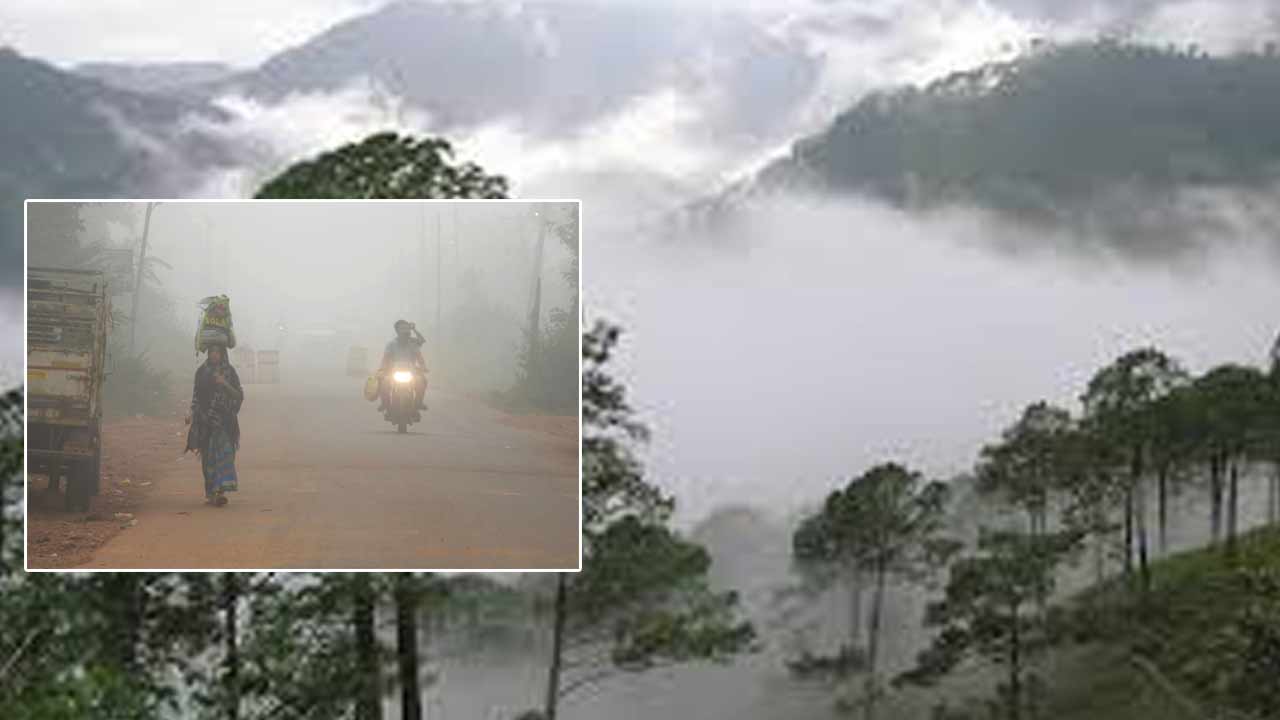 Lowest Temperature: వణికిస్తున్న ‘చలి పులి’.. 5 డిగ్రీలకు పడిపోయిన ఉష్ణోగ్రతలు..