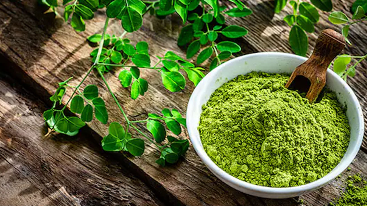 Moringa: “మునగ ఓ వరం”.. ఆకుల నుంచి వేర్ల వరకు చెట్టు నిండా ఔషధాలే..
