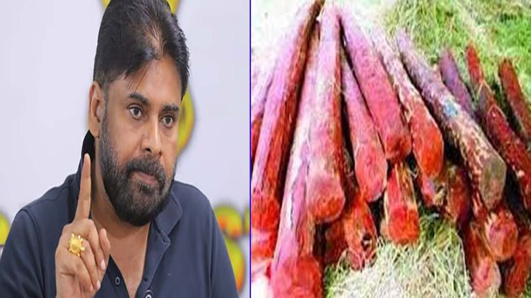 Deputy CM Pawan: ఎర్ర చందనం తాకితే తాట తీస్తాం: స్మగ్లర్లకు డిప్యూటీ సీఎం పవన్ మాస్ వార్నింగ్