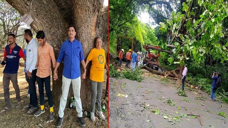 Save Trees Maharashtra: 1,825 చెట్లు నరికివేత.. మహారాష్ట్ర ప్రభుత్వంపై సాయాజీ షిండే ఫైర్