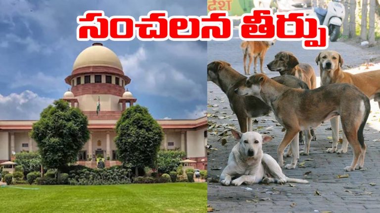 Supreme Court: వీధి కుక్కల బెడదపై మరోసారి సుప్రీంకోర్టు సంచలన తీర్పు