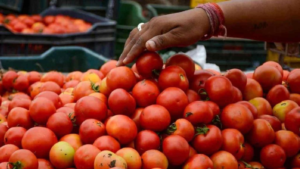 Tomato Prices
