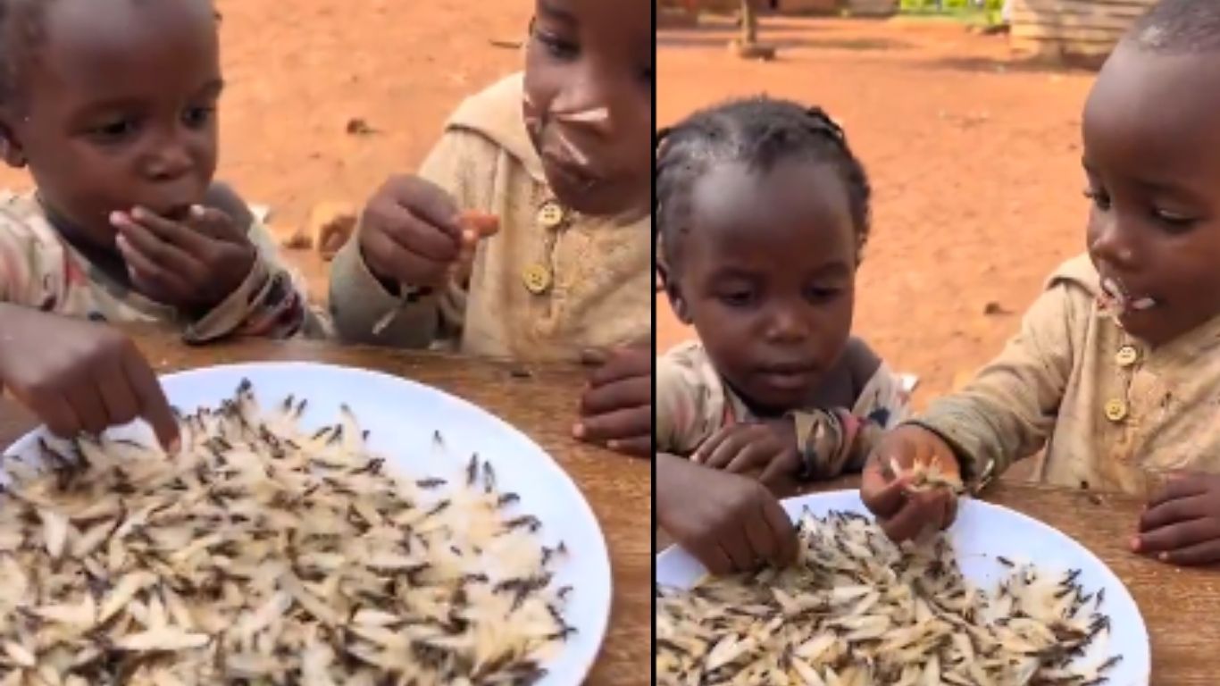 Heartbreaking:  ఆకలికి తట్టుకోలేక చిన్నారులు ఏం చేశారంటే..